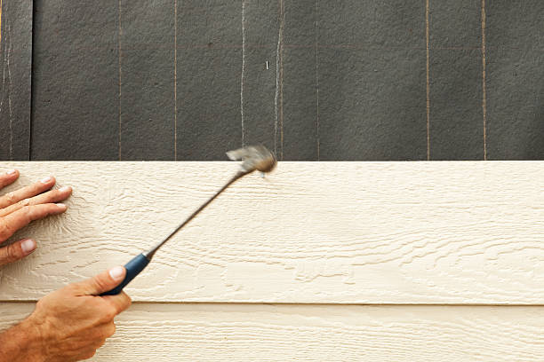 Best Siding for New Construction  in Hasson Heights, PA